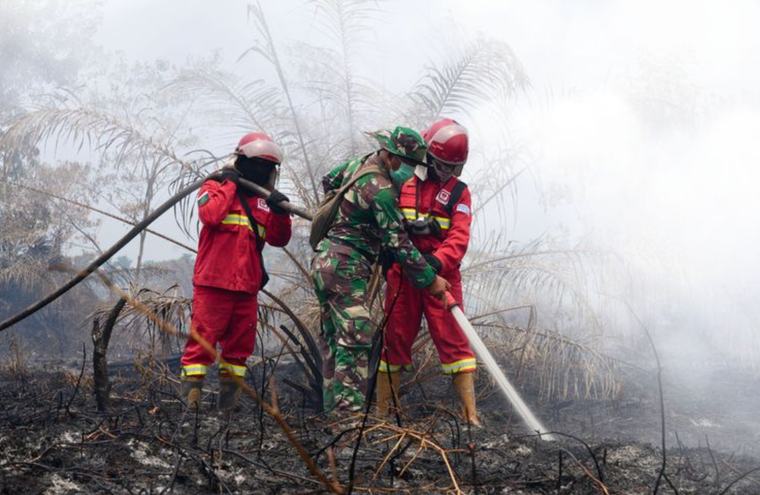 Gubes Unair Desak Perda Gambut untuk Tangani Bencana Asap Kalimantan