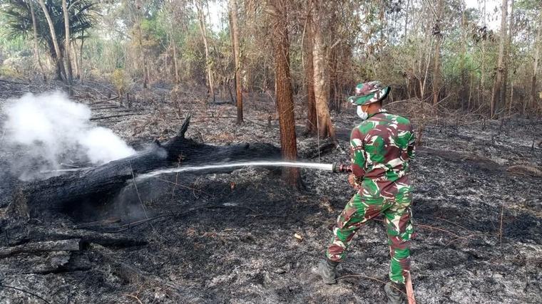 TNI Kerahkan Prajurit dan Heli Caracal Tangani Karhutla di Kawasan IKN