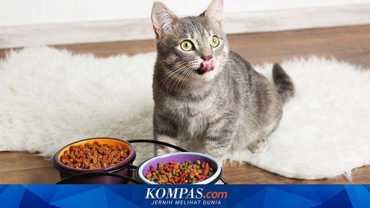 Mendag Minta Produsen "Pet Food" Optimalkan Pasar Domestik dan Ekspor Industri 06/09/2026