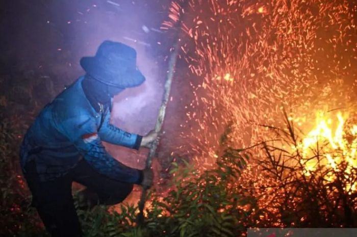 BNPB Catat Peningkatan Titik Panas Karhutla di 3 Provinsi Kalimantan