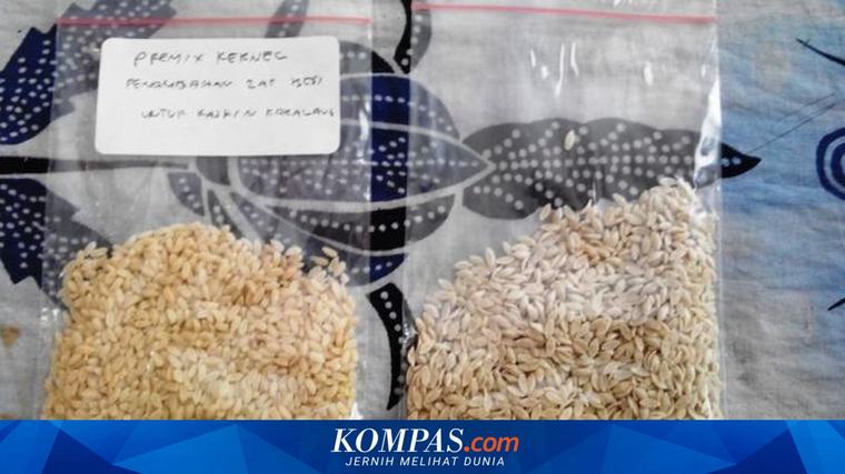 Polemik Beras Fortifikasi: Menipu Rakyat hingga Pemicu Inflasi Ekbis 03/09/2026