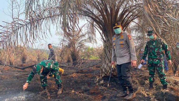Kapolda dan Pangdam Cek Karhutla di Riau, Beri Atensi di 4 Wilayah Ini