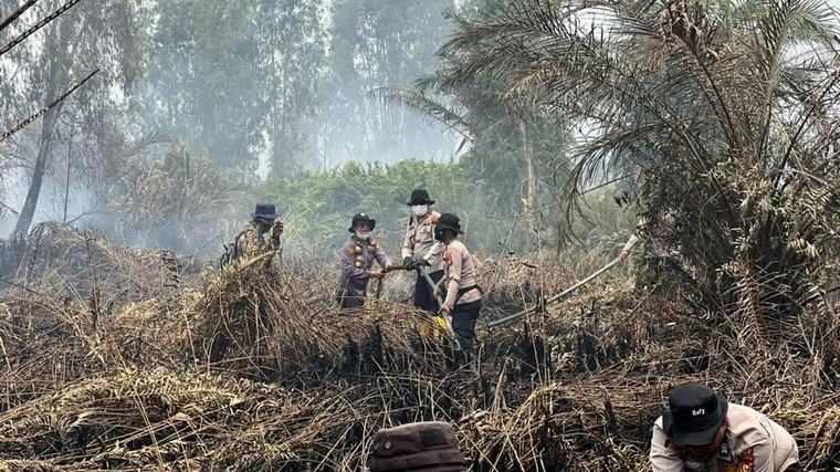 Karhutla 37 Ha Lahan di Siak Bongkar Aktivitas Sawit, 2 Orang Jadi Tersangka