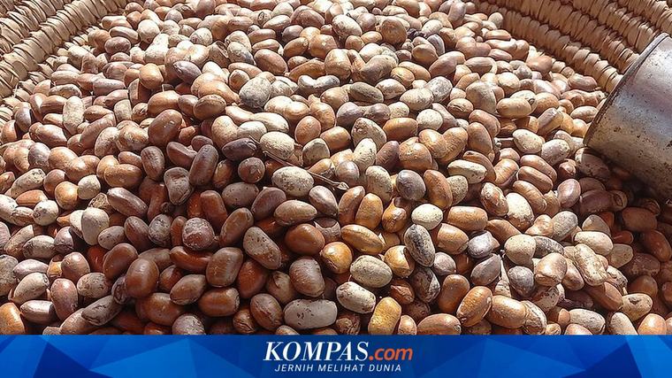 Kuasai Separuh Pasar Dunia, Indonesia Genjot Mutu Pala Ekbis 06/09/2026