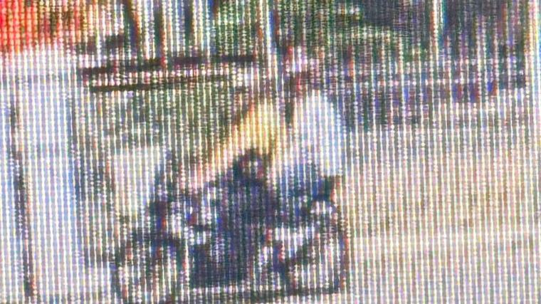 Kronologi Wanita India Dijambret di Menteng hingga Pelaku Dibekuk Polisi