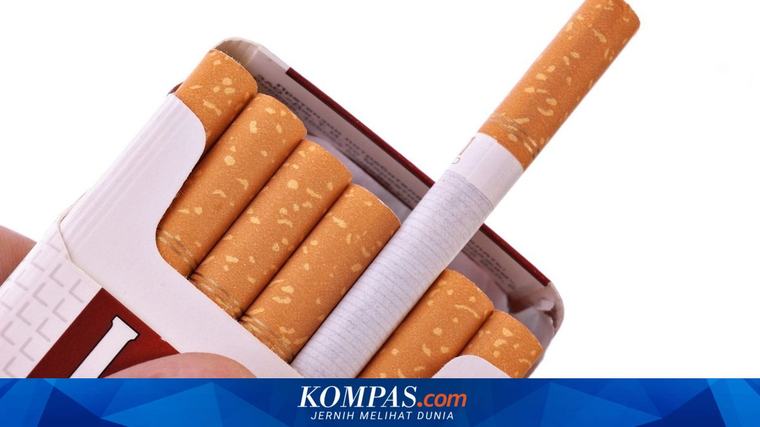 Aturan Penyeragaman Kemasan Rokok Berpotensi Picu Permasalahan Baru Industri 03/09/2026