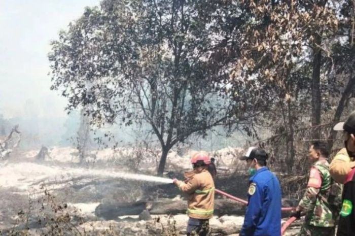 Tim Gabungan Padamkan Karhutla di 13,8 Hektare Kawasan Hutan Konservasi Kaltim
