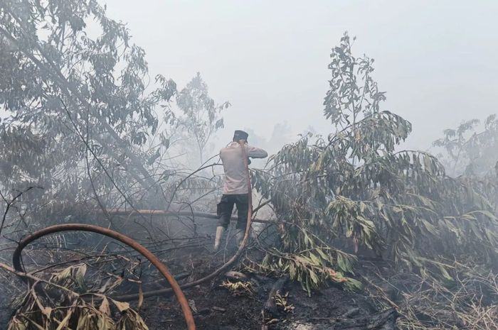 Cek Fakta: Haji Isam Ditunjuk sebagai Koordinator Penanganan Karhutla di Kalimantan?