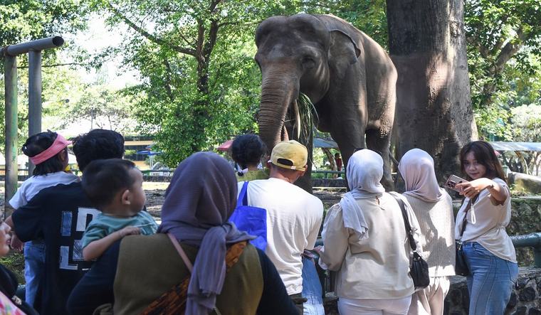 Tarif Masuk Ragunan Diusulkan Naik Jadi Rp10 Ribu, Pramono Anung Segera Putuskan