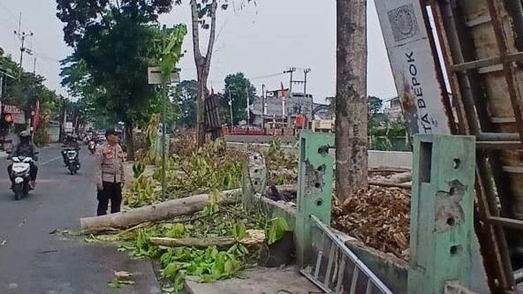 Pekerja di Depok Terpental dari Ketinggian 10 Meter Saat Tebang Pohon