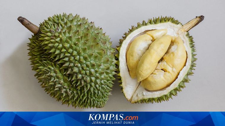 Nilai Ekspor Durian Vietnam Ditargetkan Tembus Rp 70,5 Triliun Tahun Ini Ekbis 06/09/2026