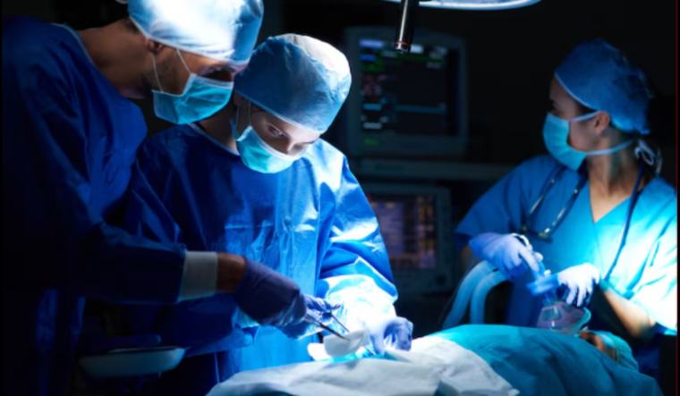 Rekor Baru Xenotransplantasi: Ginjal Babi Berfungsi 271 Hari di Tubuh Manusia