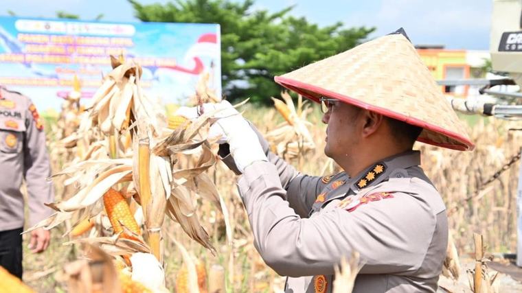 Produksi Jagung Naik 14,47%, Polda Riau Perkuat Dukungan Swasembada Pangan